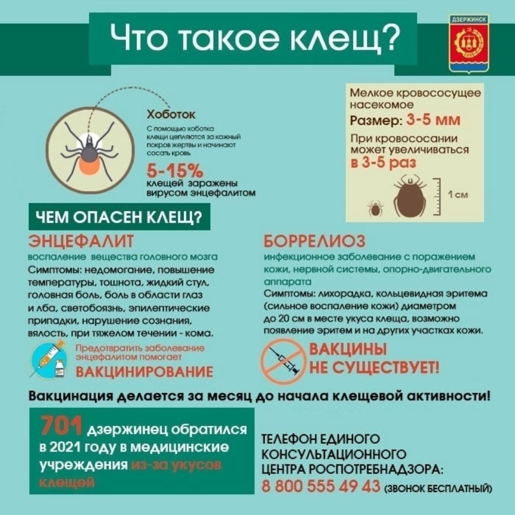 Об эпидемиологической ситуации по инфекциям, передающимся клещами -  Администрация города Дзержинска